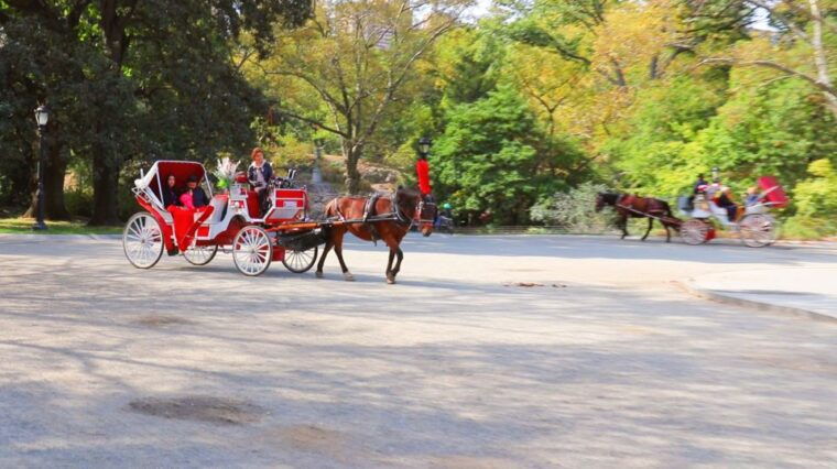central-park-short-horse-carriage-ride-up-to-4-adults