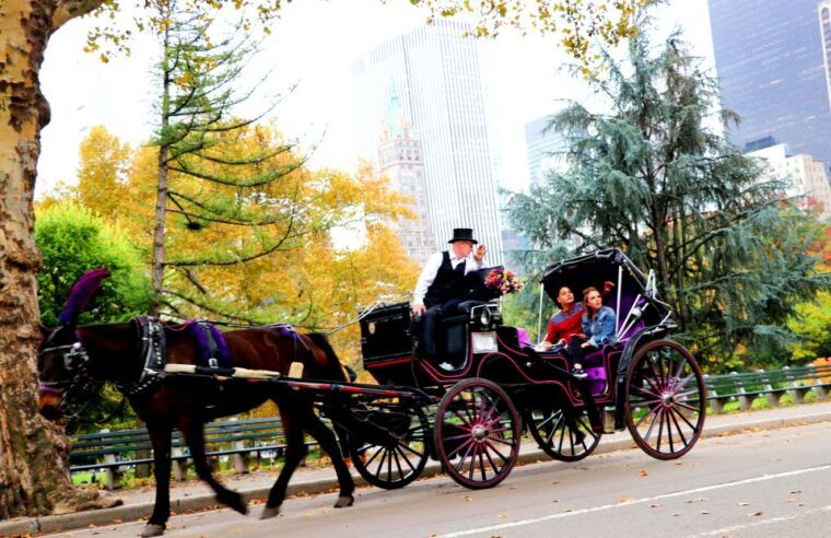 central-park-short-horse-carriage-ride-up-to-4-adults