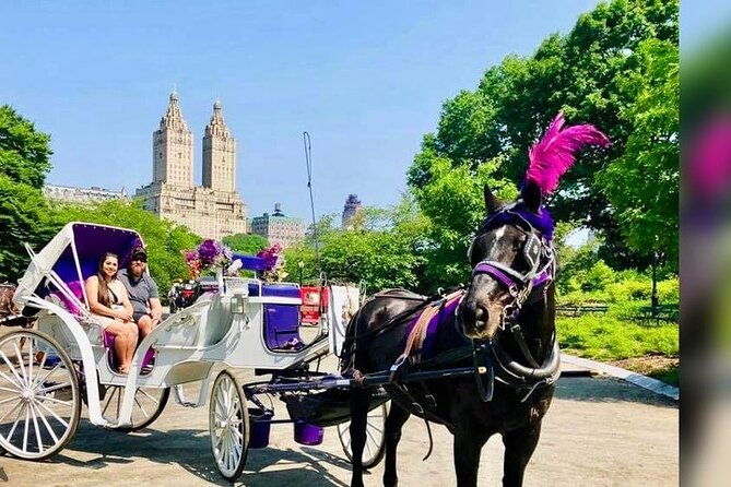 central-park-tourcentral-park-sightseeing-2