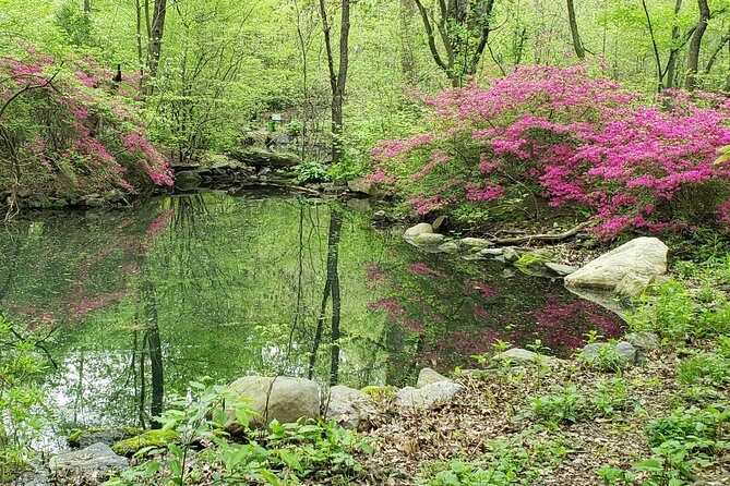 Central Park Walking Tour - Final Thoughts