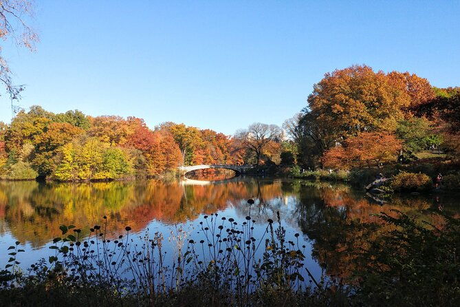 central-park-walking-tour-scandal-and-vice