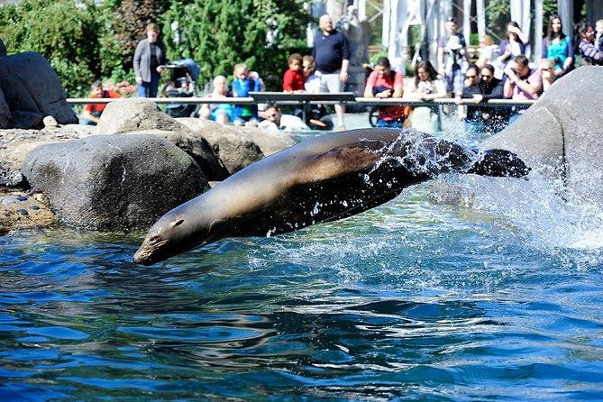 central-park-zoo-admission-ticket-with-4d-theater-access-2