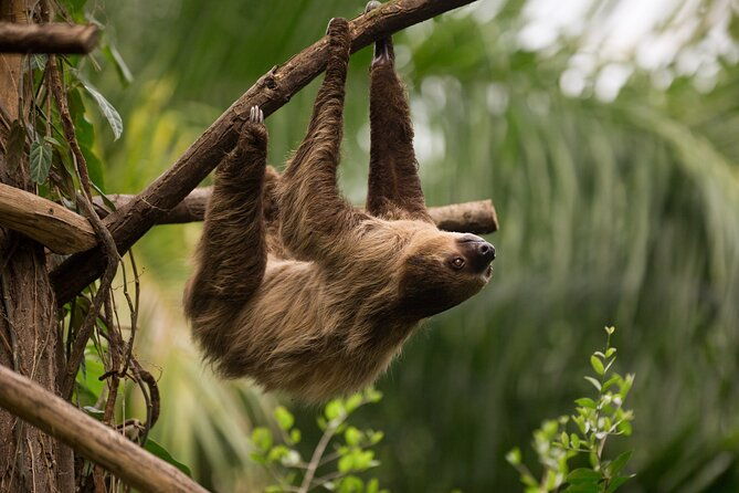 central-park-zoo-skip-the-line-tickets-private-transfers