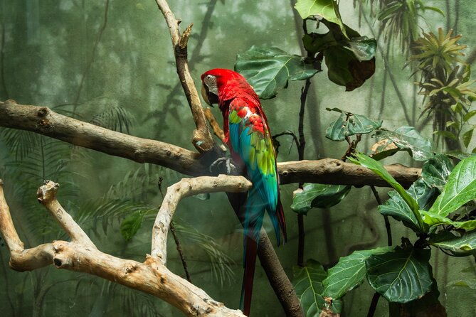 central-park-zoo-skip-the-line-tickets-private-transfers