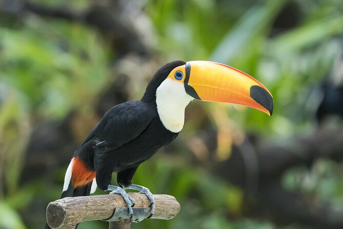 central-park-zoo-skip-the-line-tickets-private-transfers