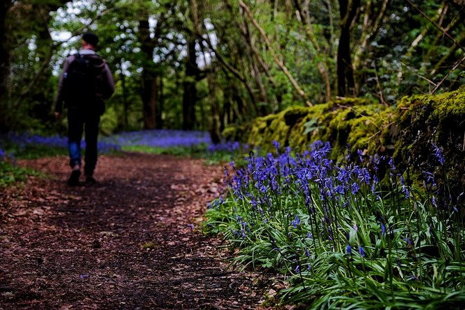 central-scotland-driving-tour-stirlingshire-private