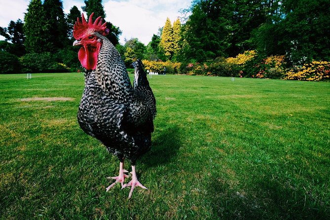 central-scotland-driving-tour-stirlingshire-private