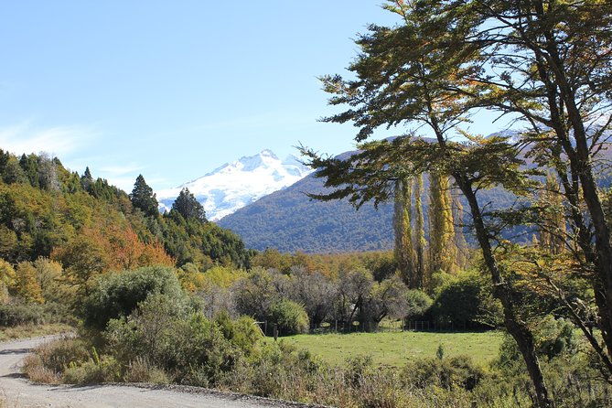 cerro-tronador