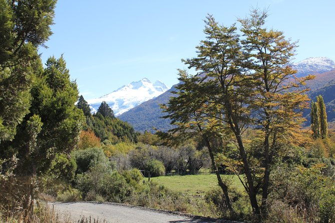 cerro-tronador
