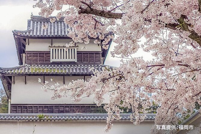 Certified by Fukuoka: A Photogenic Tour to Visit Beautiful Spots with Kimono on! - Who Will Love This Tour?