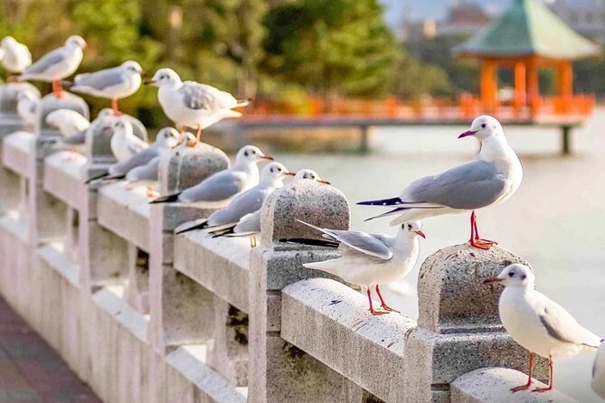 Certified by Fukuoka: A Photogenic Tour to Visit Beautiful Spots with Kimono on! - FAQ