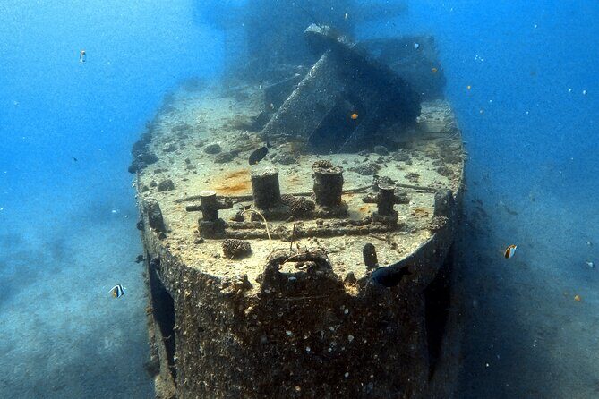 Certified Diver: 2-Tank Deep Wreck and Shallow Reef Dive Off Oahu - Setting the Scene for Your Dive Day