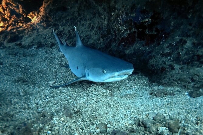 certified-diver-2-tank-night-dive