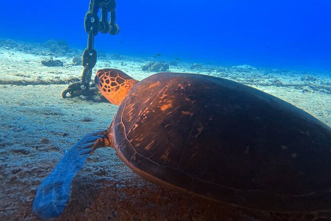 certified-diver-2-tank-night-dive