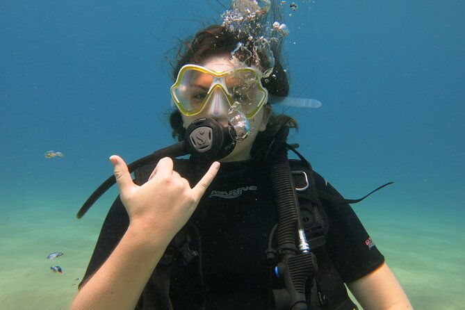 certified-guided-shore-dive-in-lahaina