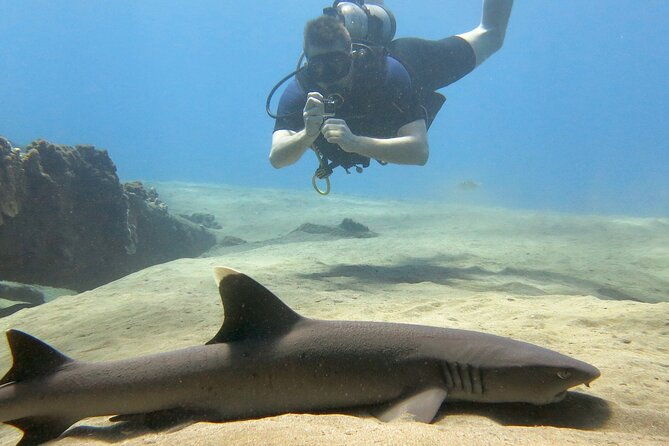 certified-guided-shore-dive-in-lahaina