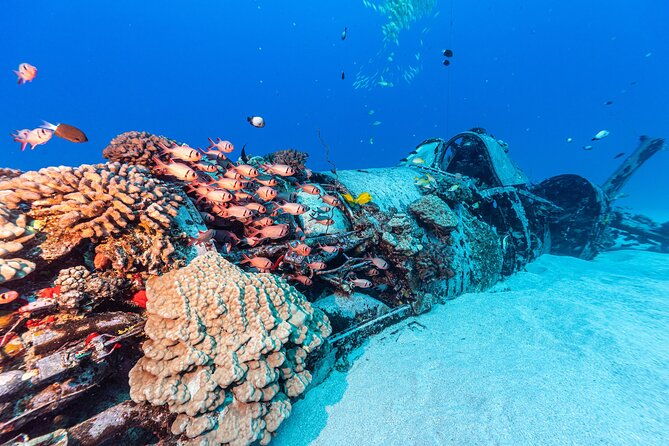 certified-scuba-diving-experience-in-honolulu