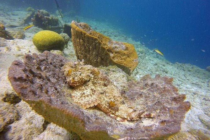 certified-scuba-diving-in-curacao