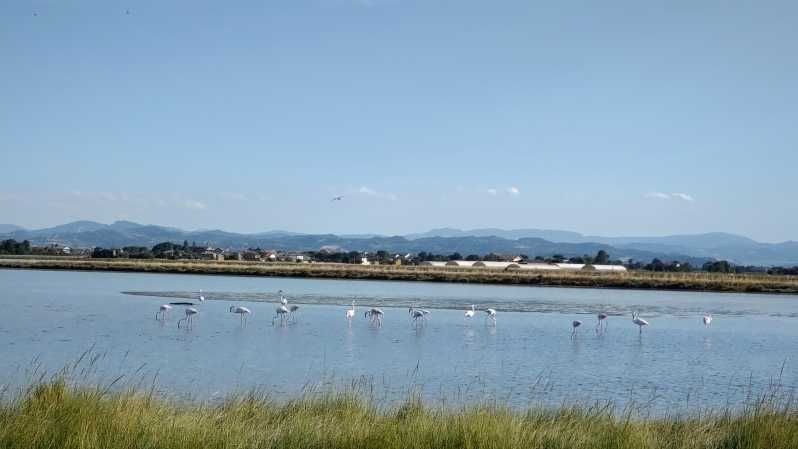 cervia-milano-marittima-on-ape-calessino-vintage