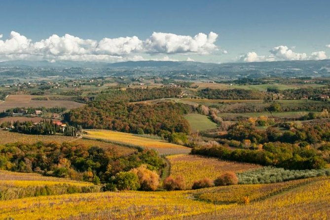cesani-wine-experience