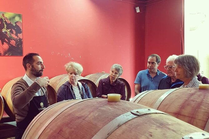 cesani-wine-experience