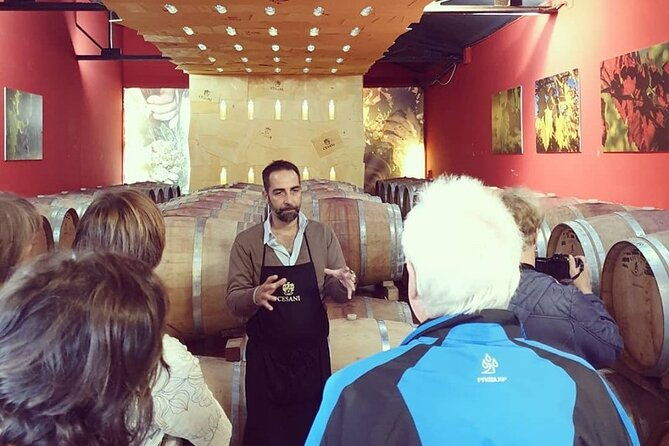 cesani-wine-experience