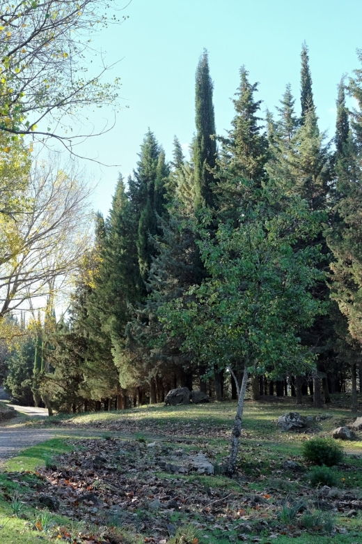 cesaro-full-day-tour-of-nebrodi-park-in-a-4x4