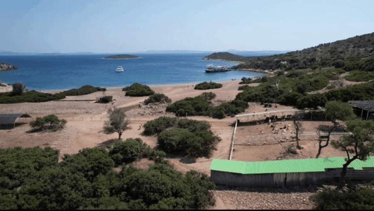 cesme-islands-and-bays-boat-trip-with-bbq-lunch