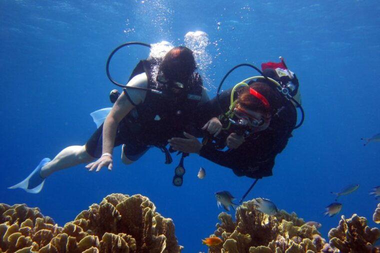 cesme-scuba-diving-experience