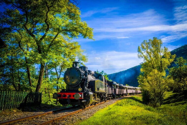 Cévennes Steam Train - Cost and Value