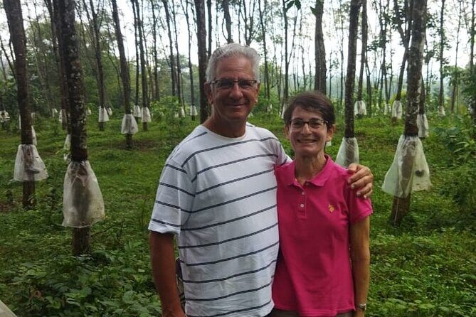 Ceylon Tea Experience Start from Colombo Port Passenger Terminal - Authentic Feedback from Past Travelers