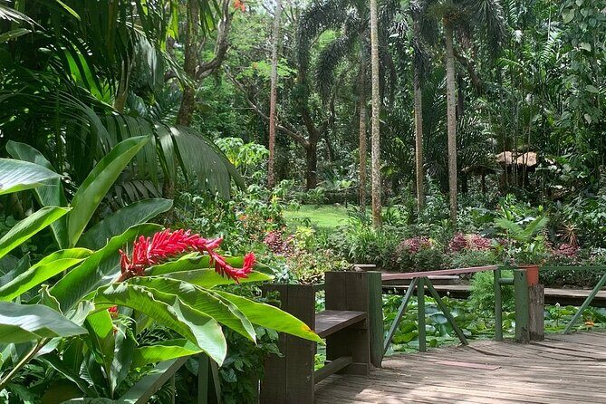 CFC Hot Spring Mud Pool,Garden Of Sleeping Giant And Village Visit Half Day Tour - Who Should Consider This Tour?