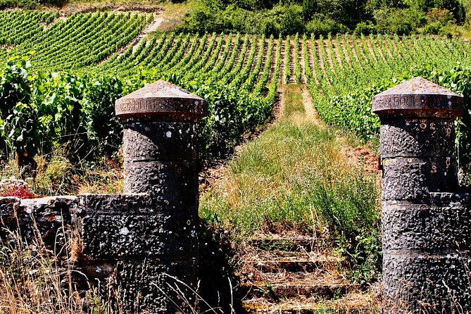 chablis-15-exquisite-wines-tasting-trip-in-small-group-from-paris