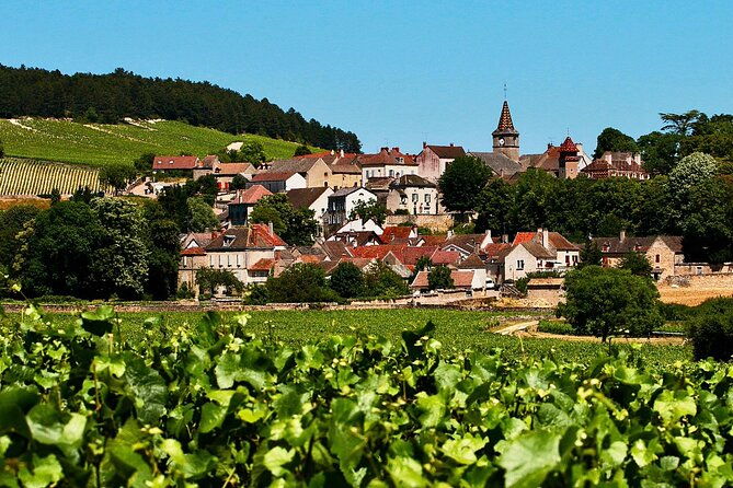 chablis-15-exquisite-wines-tasting-trip-in-small-group-from-paris