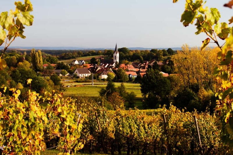 Chablis Day Trip From Paris including 8 tastings & lunch - Exploring the Itinerary and What You Can Expect