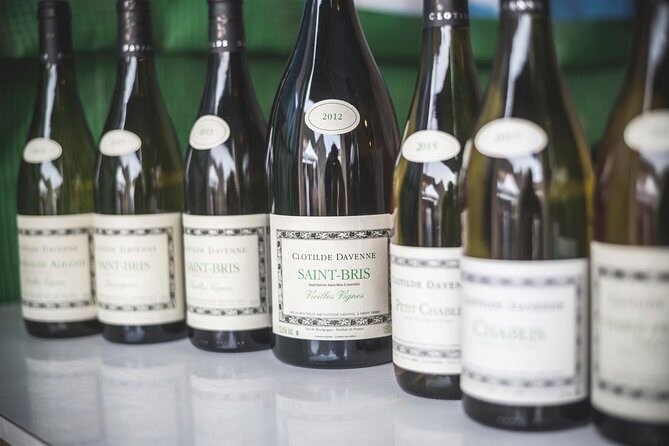 Chablis Tour and Tasting at Domaine Clotilde Davenne in French - Exploring the Winery