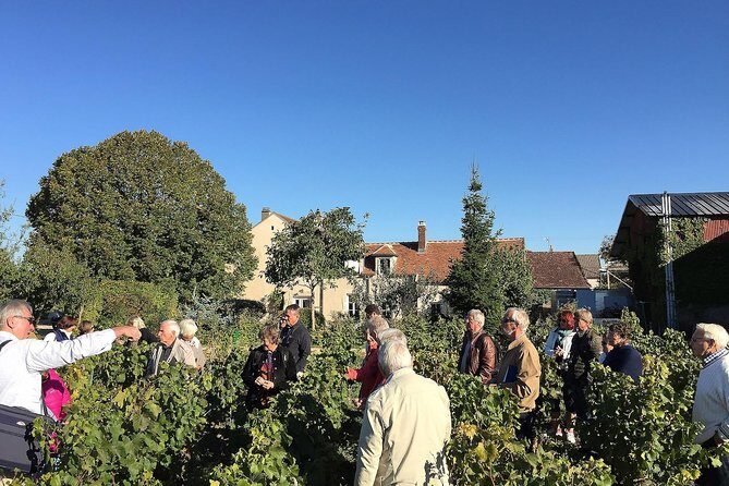 Chablis Tour and Tasting at Domaine Clotilde Davenne in French - The Tasting: A Highlight for Wine Lovers