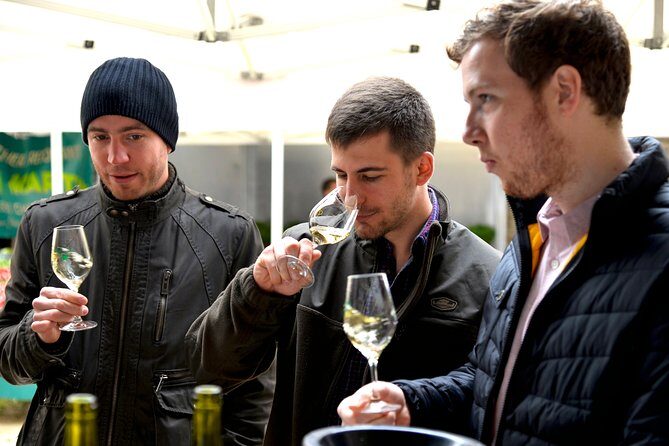Chablis Tour and Tasting at Domaine Clotilde Davenne in French - Practical Details and Group Experience