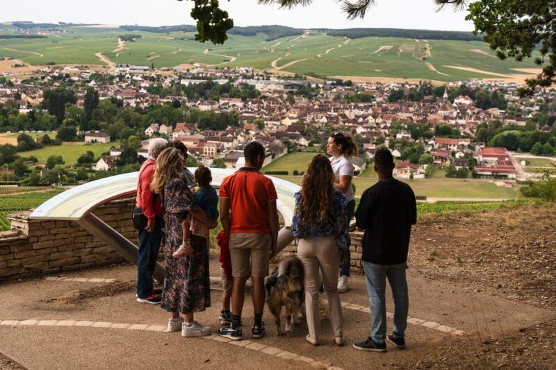 chablis-visit-of-the-grand-cru-vineyard