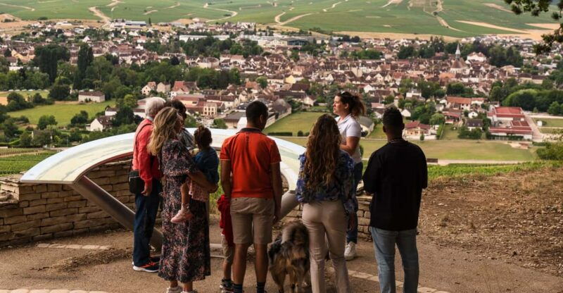 chablis-visit-of-the-grand-cru-vineyard