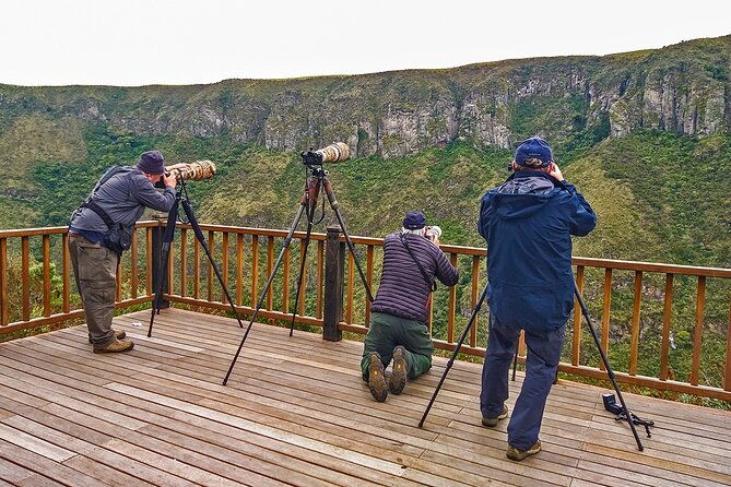 chakana-reserve-unique-andean-wildlife-condors-ecuadorian-hillstar-bears