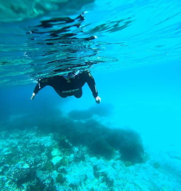 Chalkidiki: Snorkeling Adventure in Sithonia - Key Points