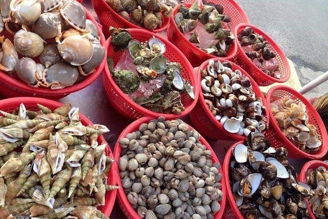 Cham Island Day Tour & Snorkeling from Da Nang with Group tour - What’s Included and What’s Not