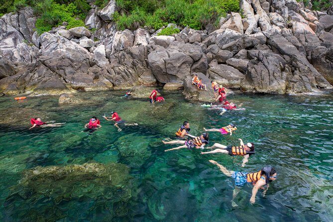 Cham Island Day Tour & Snorkeling from Da Nang with Group tour - Cost and Value