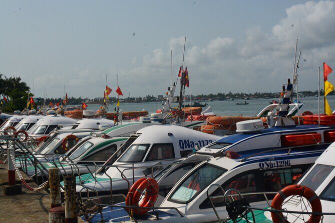 Cham Island Day Tour: Speed Boat, Lunch, Snorkeling & Beach - Transport, Group Size, and Overall Value