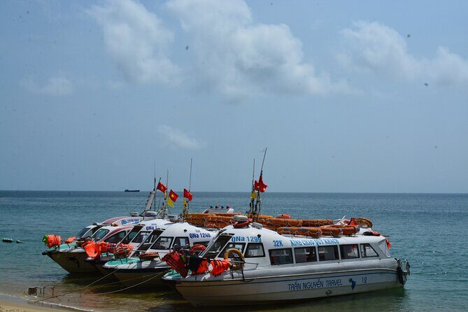Cham Island Day Tour: Speed Boat, Lunch, Snorkeling & Beach - Frequently Asked Questions (FAQs)