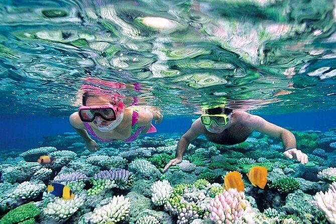 Cham Island Discovery: Snorkeling, Sightseeing & Seafood Set Menu - Key Points