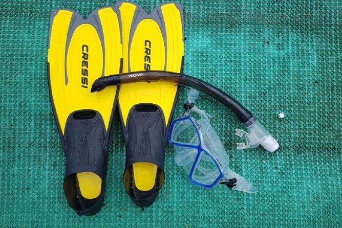 Cham Island Exploration Tour and Swimming with Local Guide - An In-Depth Look at the Itinerary