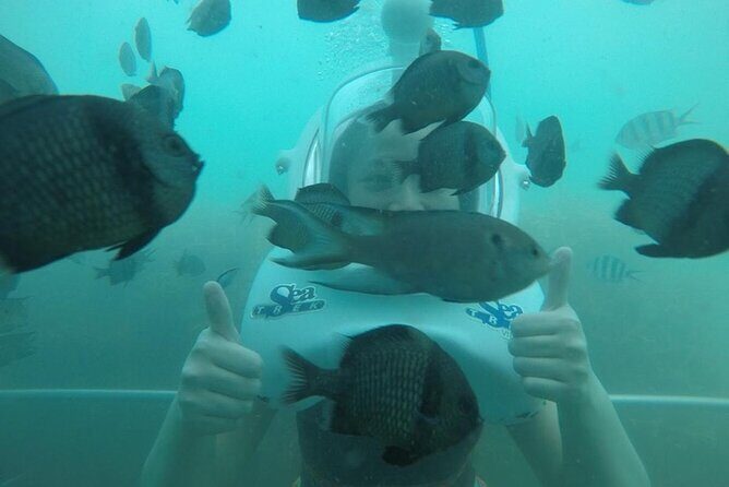 Cham Island Sea Walk and Snorkeling Experience by Speedboat - Practical Details & Tips