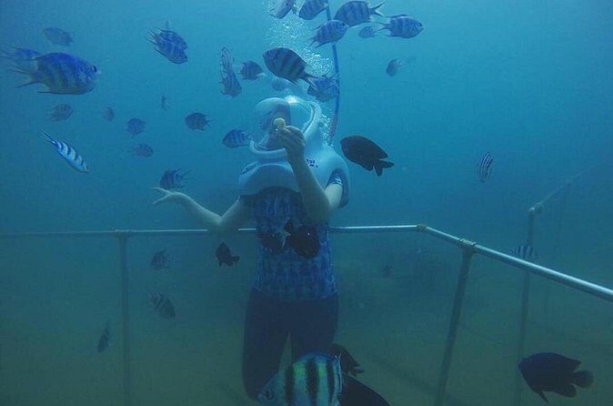 Cham Island Sea Walk and Snorkeling Experience by Speedboat - The Sum Up